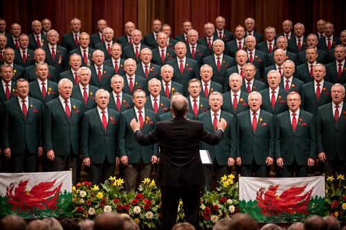 Brother of the Stone